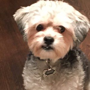 Meet your Posher, Anita